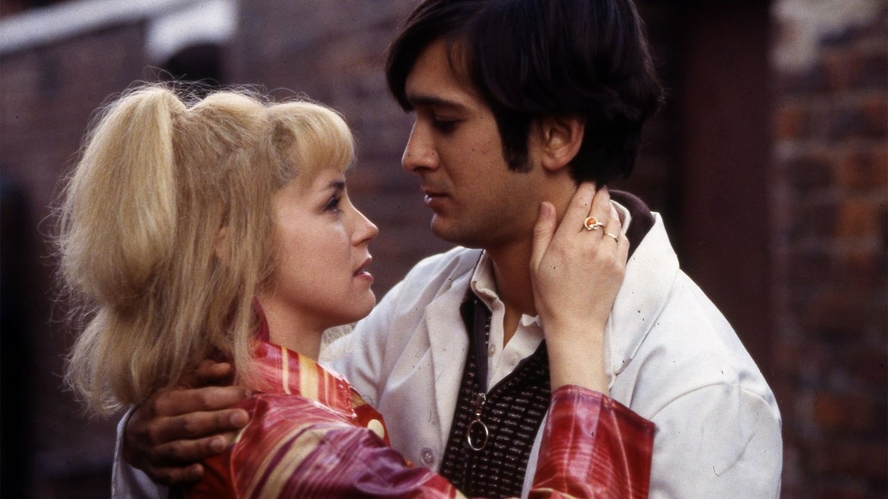 East Is East Collection background